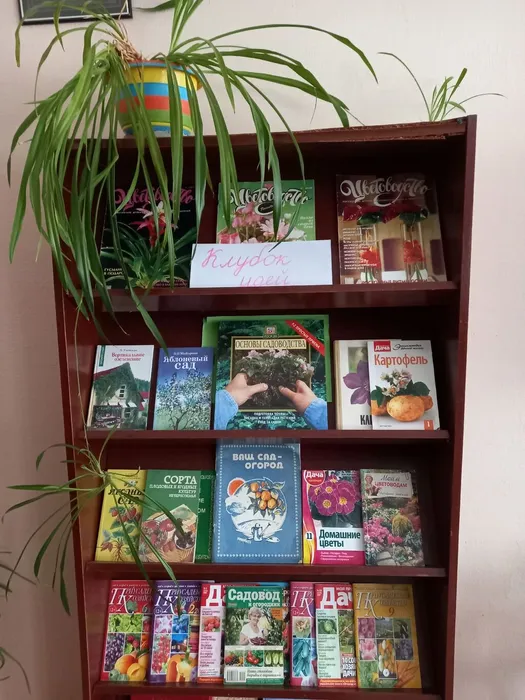 7G9PYXfWKpclQtF6f2a0M6o0rKLbaLTbvRabOZ6-NPBO5t7ltHuNoLsSTTNcfxWvge8TC62keN8PTHJhZgl4f-Eo